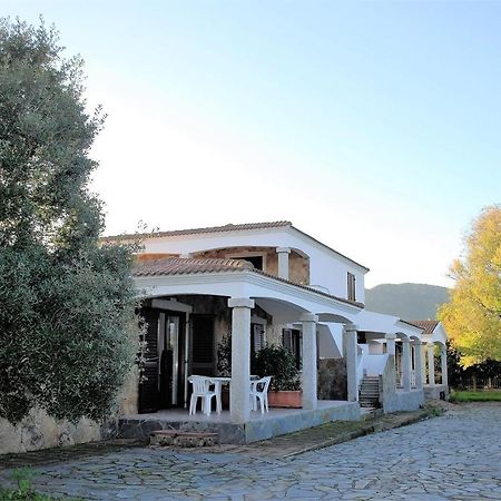 Le Maree I Lentischi Apartamento San Teodoro  Exterior foto